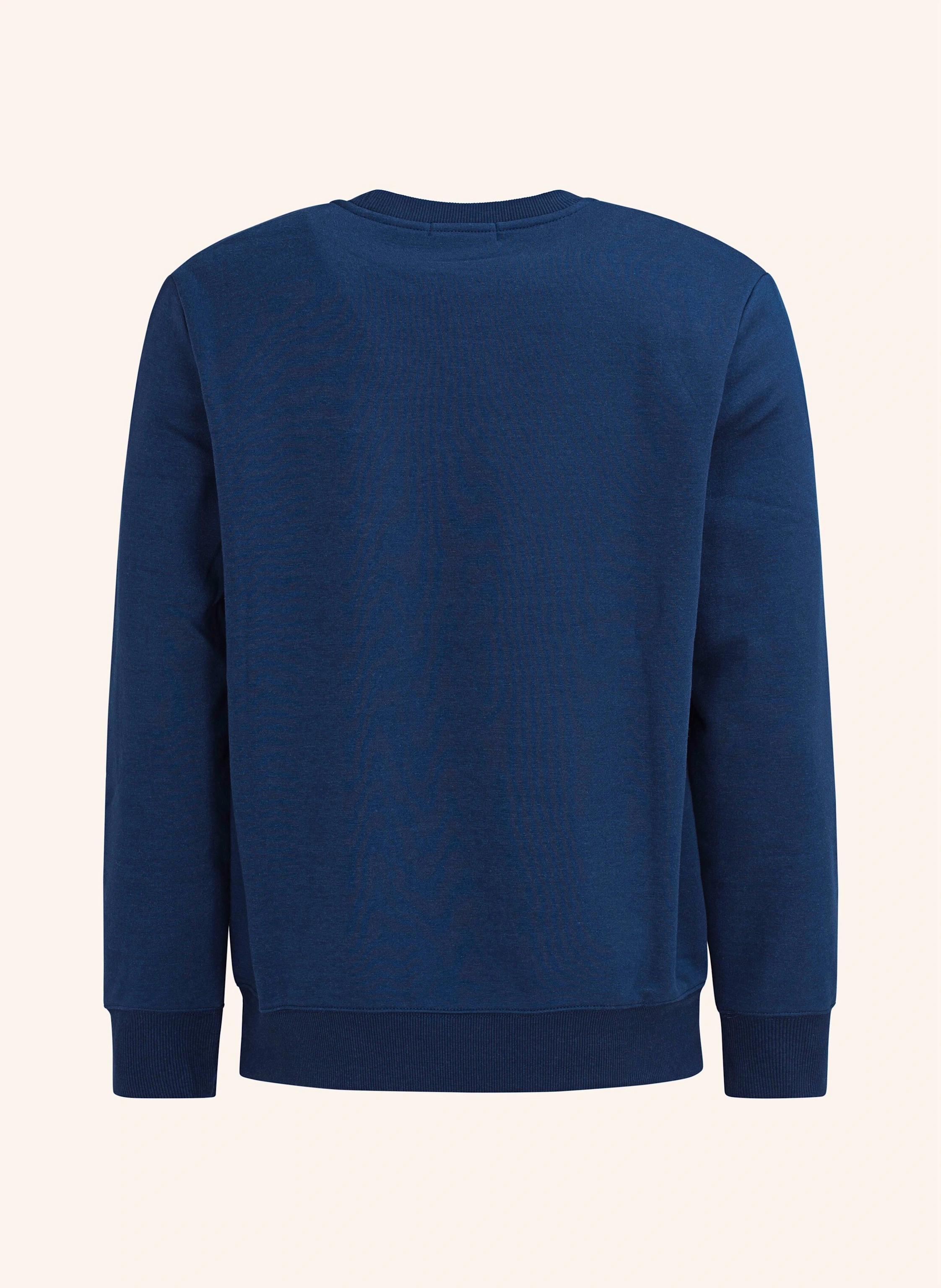 TRUE RELIGION Sweatshirt
