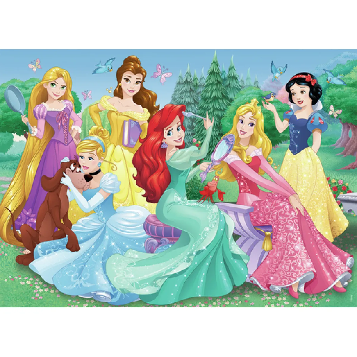 Nathan Disney Princesses