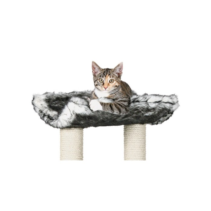 Arbre à chat Isaba