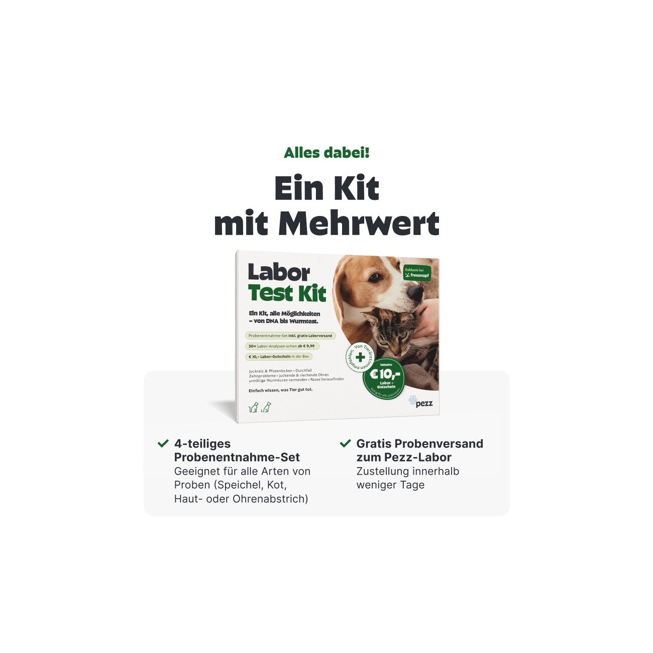 Pezz Life Labor Test Kit - All-in-One Gesundheitstest für zuhause