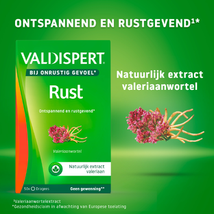 Valdispert Rust Tabletten 50ST