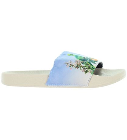 Molo Bådesandaler - Zhappy - Paradise Bird
