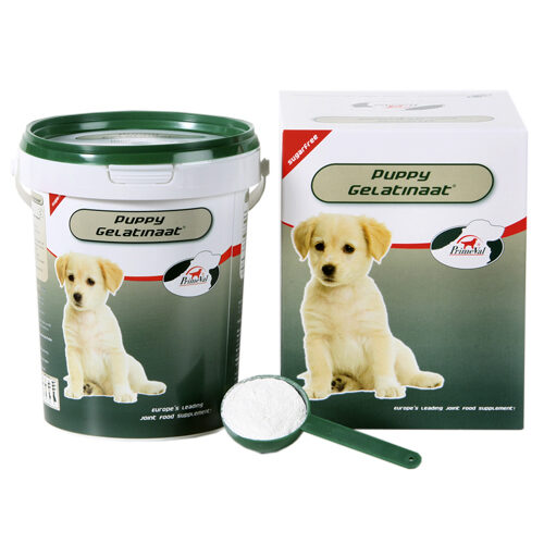 PrimeVal Gelatinaat Hond