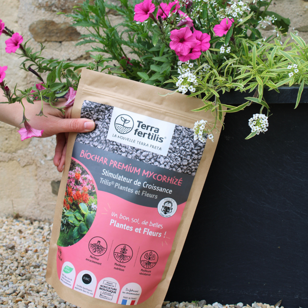 Fertilisant plantes et fleurs à base de mycorhizes - 250g