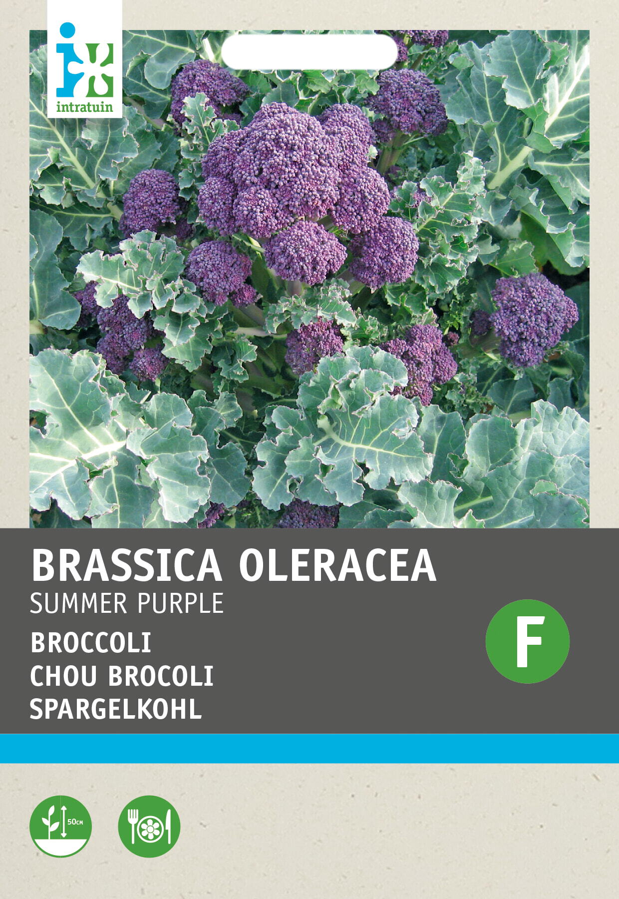 Intratuin groentezaad Broccoli (Brassica italicum 'Summer Purple')