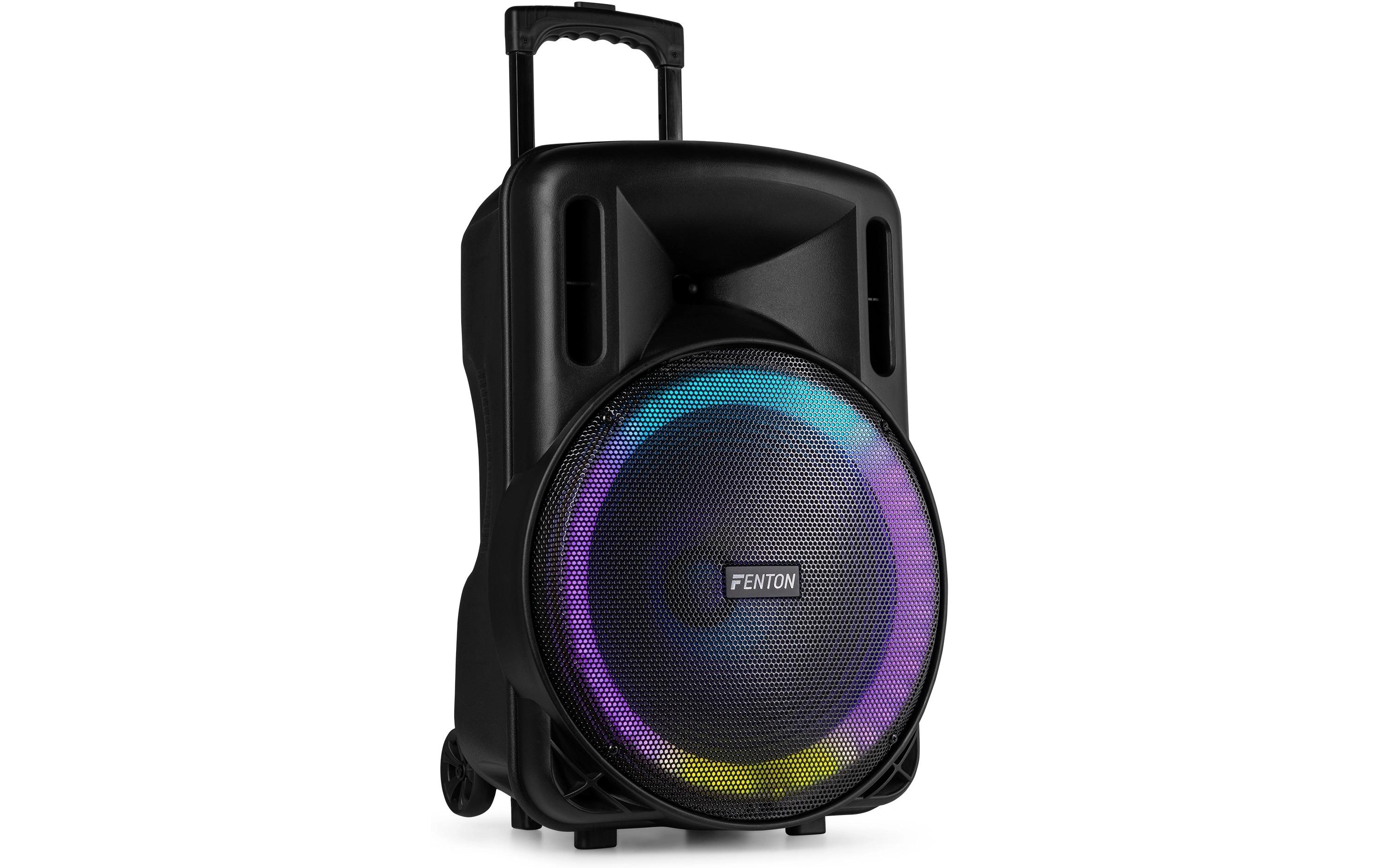 Lautsprecher FT15 lED MK2<br>Tragbarer PA-Lautsprecher mit LED