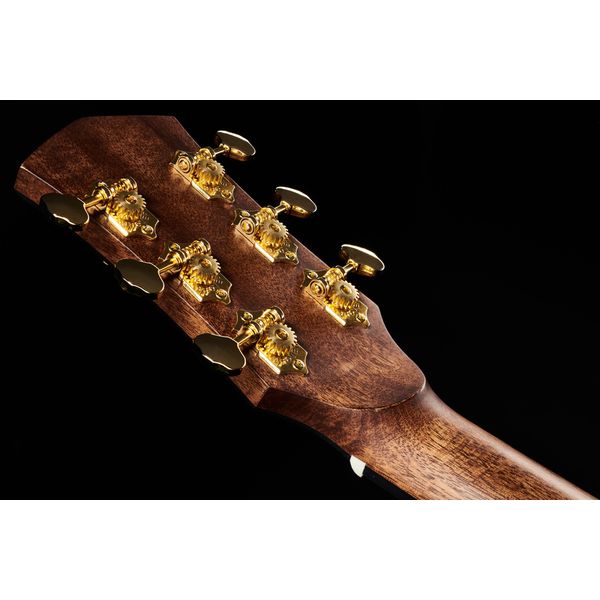 Cort Gold A6