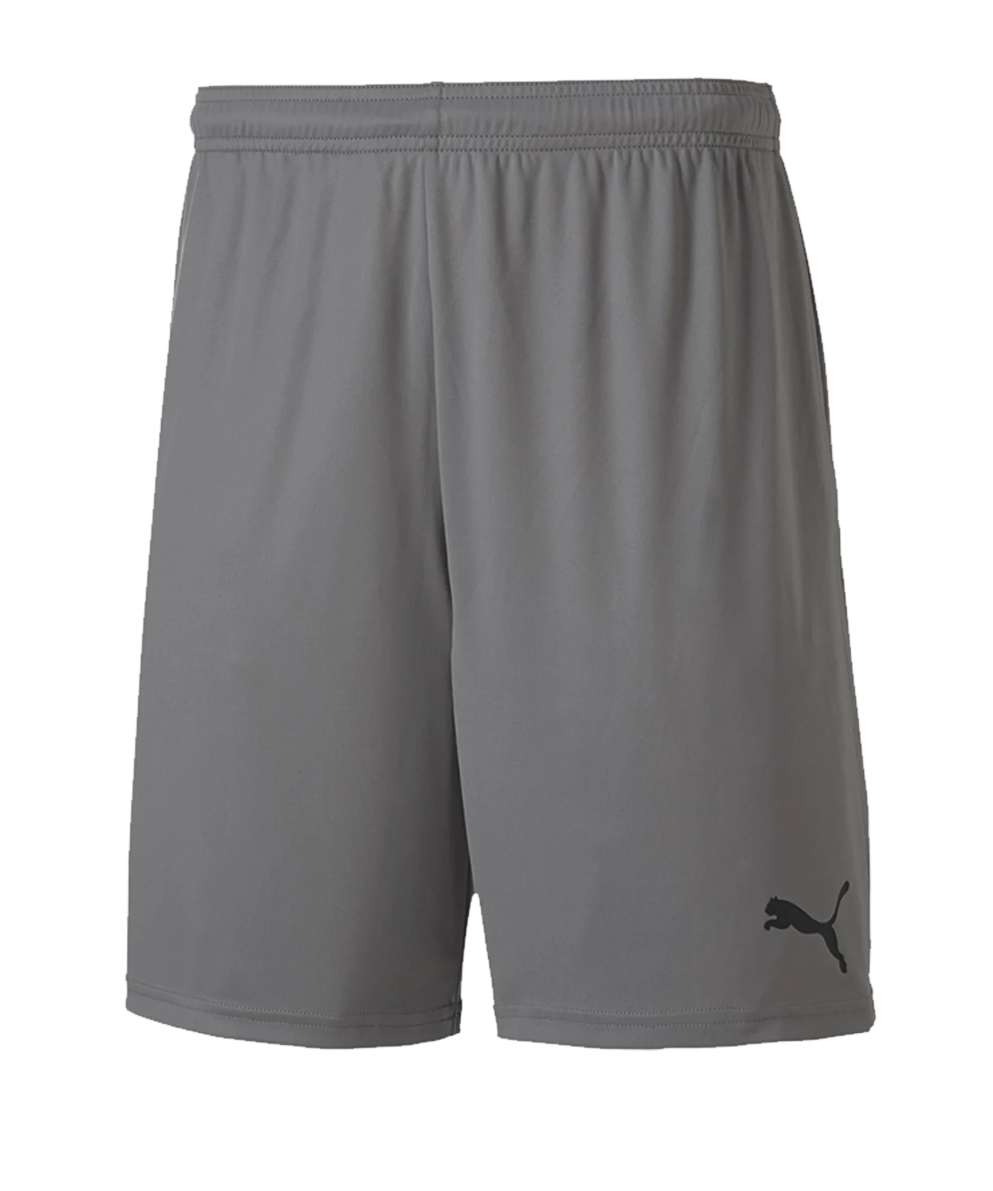 PUMA teamGOAL 23 Knit Short Grau F13