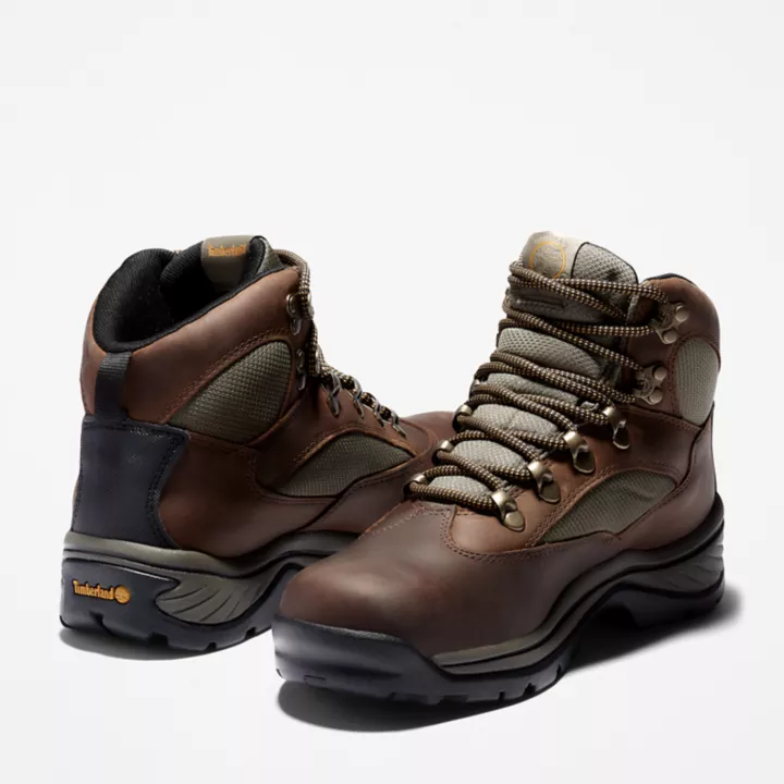 Bottine de randonnée Chocorua pour femme en marron