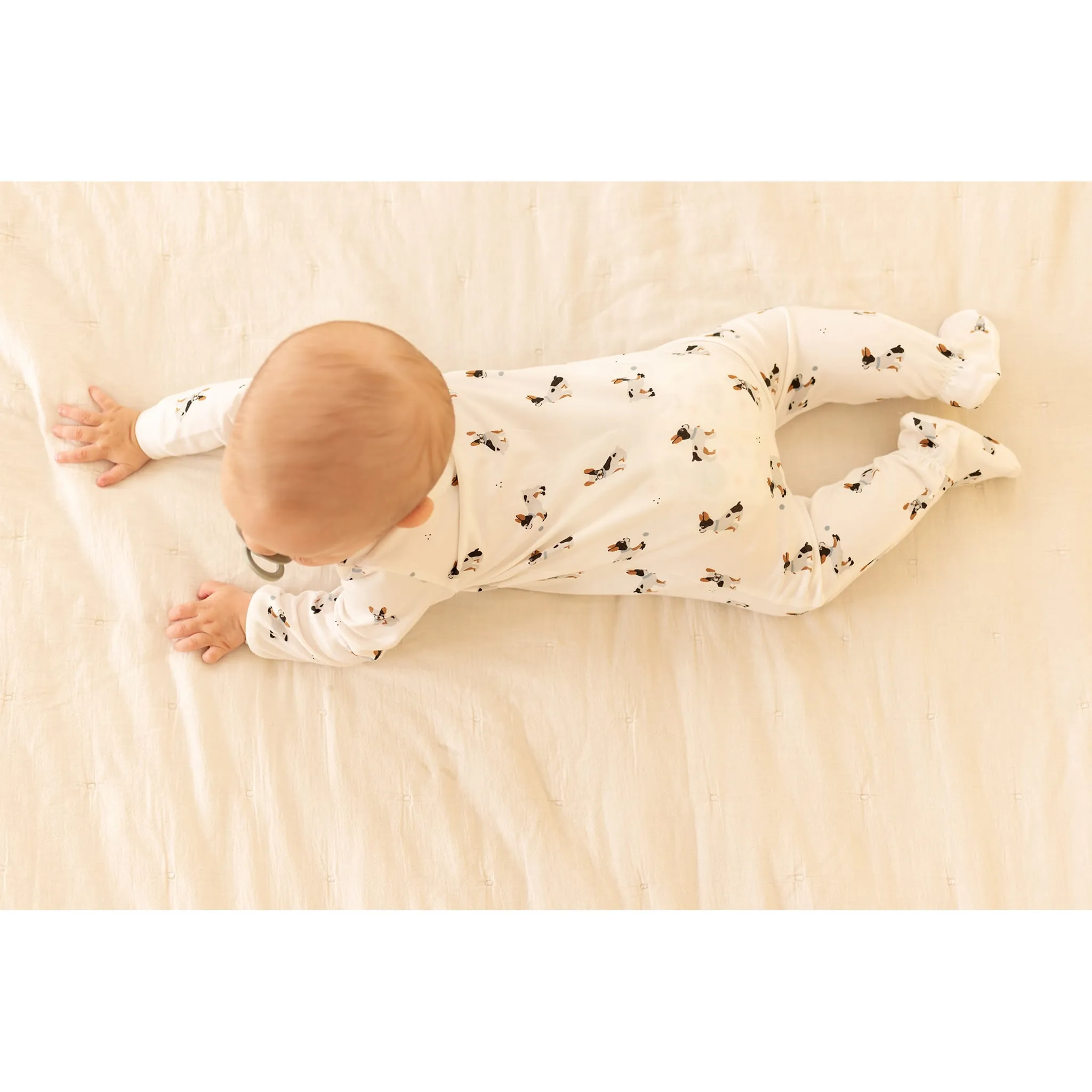 Firsts par Petit Lem Pyjama Bouledogue 0-12mois