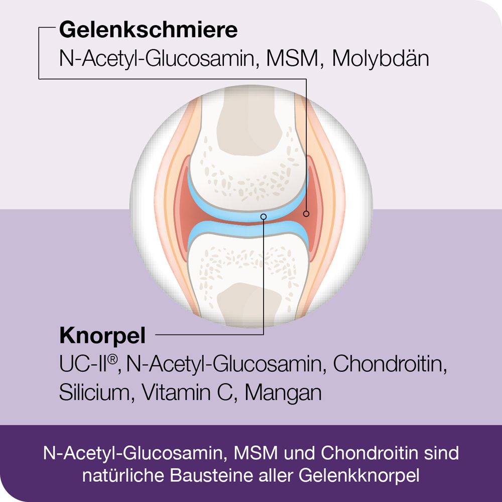 flexiLoges® Knorpel aktiv