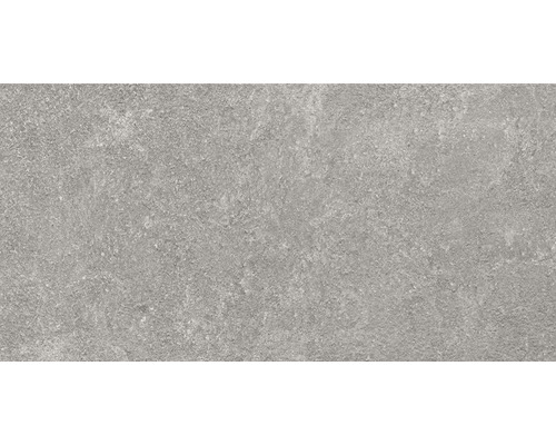 FLAIRSTONE porseleinen terrastegel Luna Silver gerectificeerde rand 100 x 50 x 2 cm