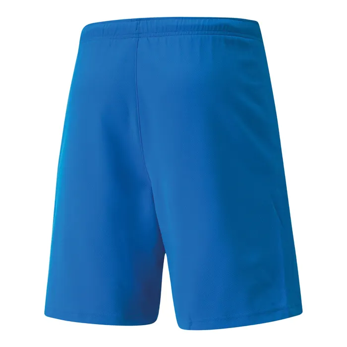 Puma teamRISE Short Heren