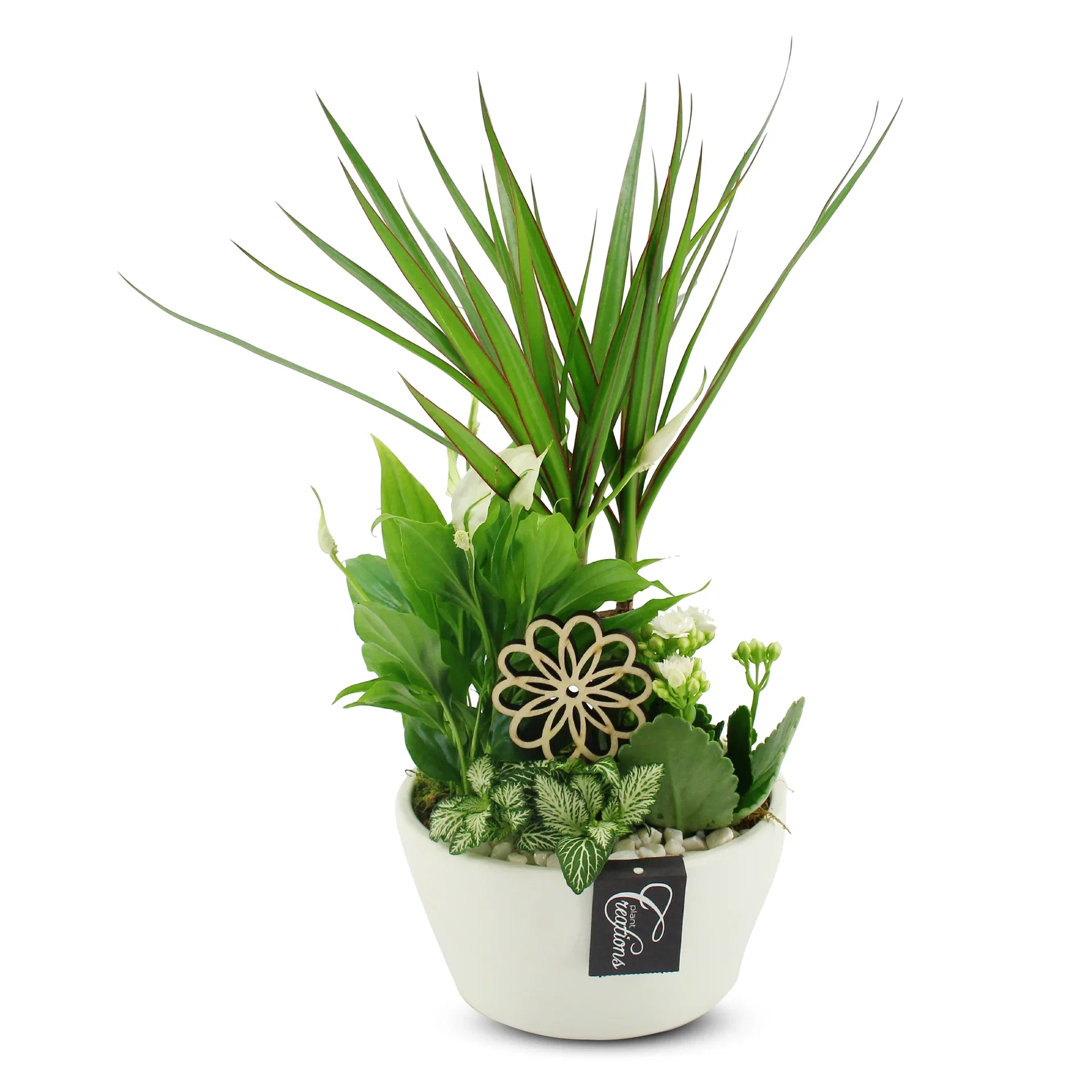Green decoration in white pot Beplantning med grønne planter i hvit potte Høyde 45 cm
