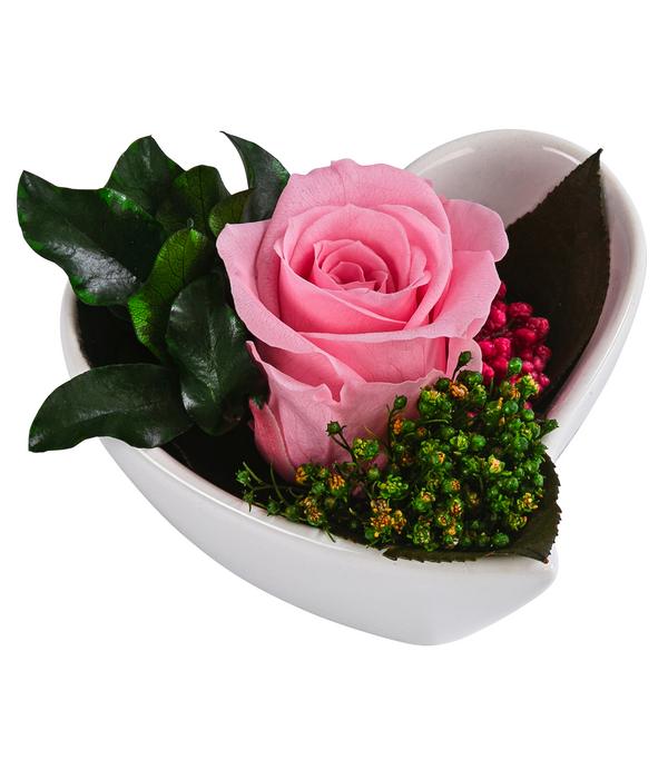 Dehner Herzschale mit Longlife-Rose Aneta,