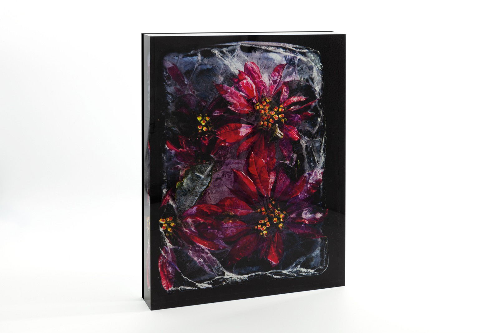 Coral Tree by Bruce Boyd - Open Edition.