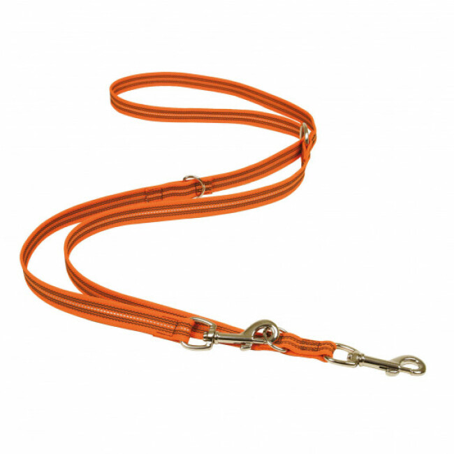 Laisse réfléchissante souple multipositions - 2 m