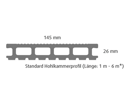 Konsta WPC terrasplank Primera holle kamerprofiel glad 26x145 mm (verkoop per meter van 1,00 m tot max. 6,00 m) bruin