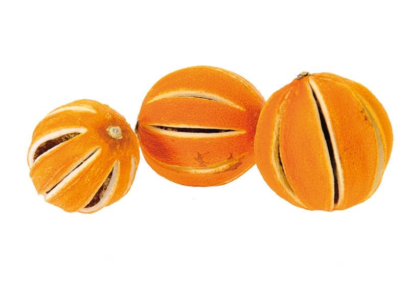 Opiflor Deko Mandarinen getrocknet 250 g Getrocknete Mandarinen zur Dekoration