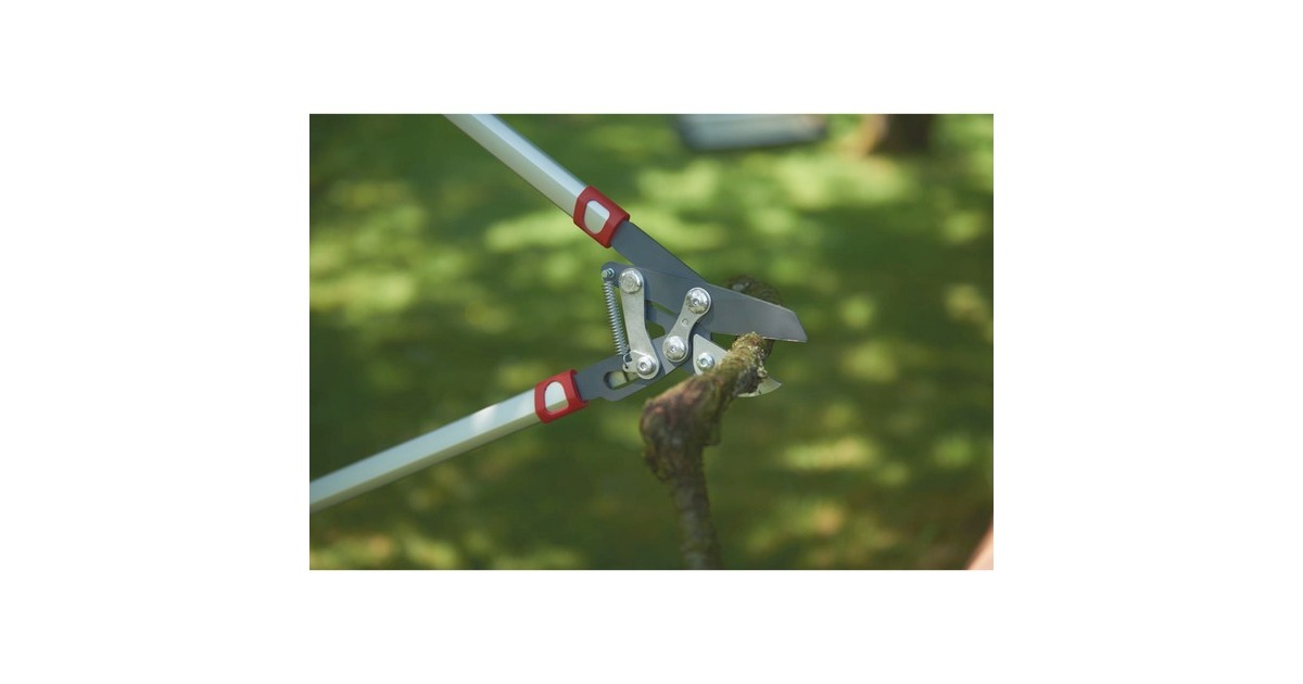 WOLF-GartenPower Cut RS 800 V takkenschaar  (Rood/zilver)