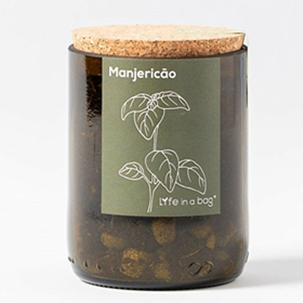Kit bouteille prêt à pousser basilic