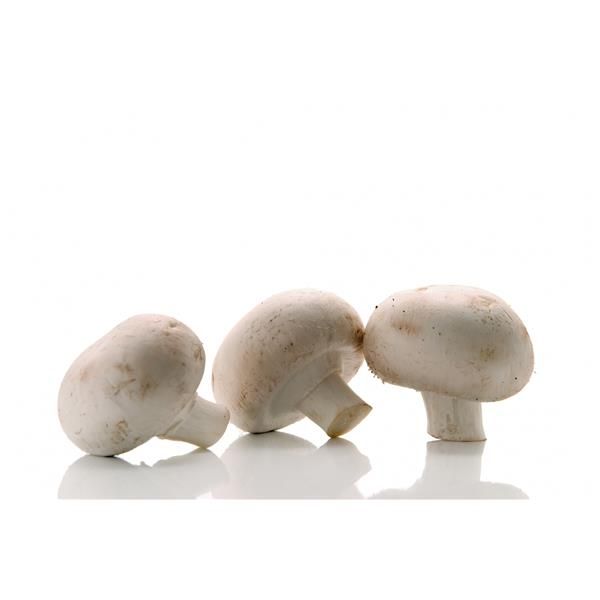 Cogumelos Paris Bio - Emb 250G