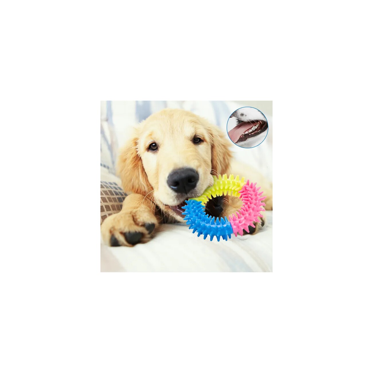 nobleza 10-teiliges Hundespielzeug-Set – Baumwollseile für Kauen, Ziehen & Zahnpflege