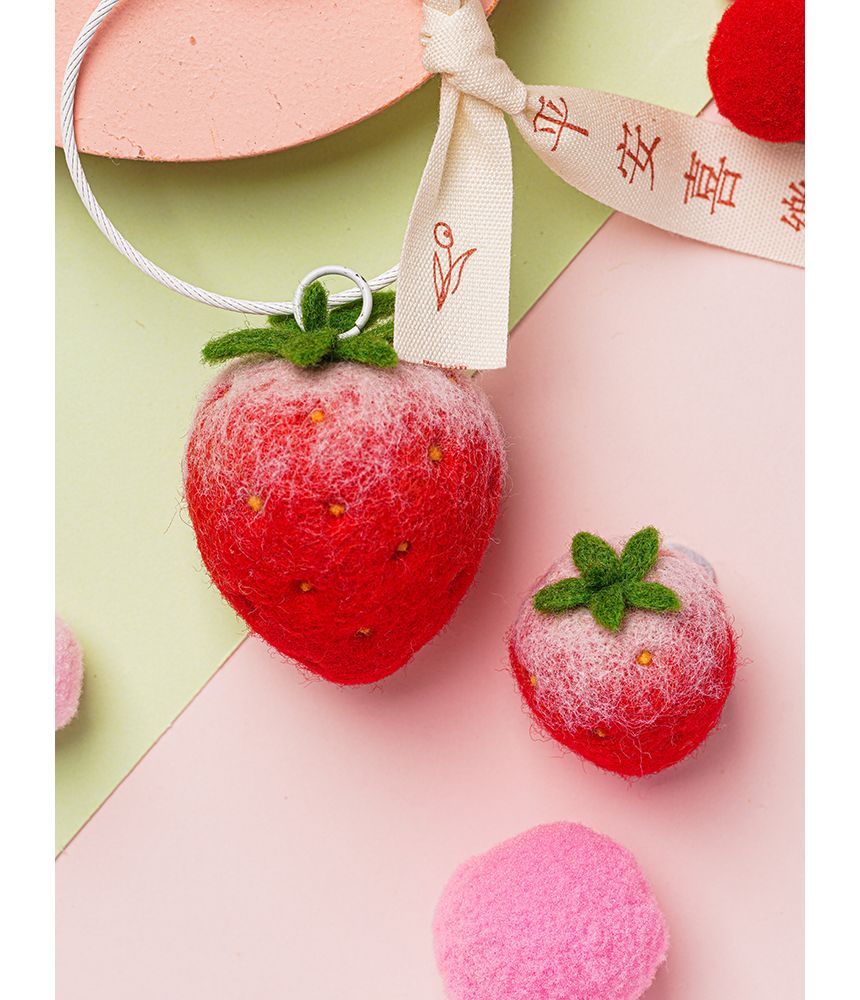 Kneavist - Fruit DIY naaldviltset (verschillende ontwerpen) (alleen Chinese instructies)
