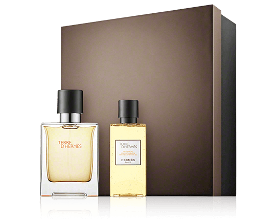 Hermès Terre d'Hermès Set mit Hair and Body Shower Gel 50ml-40ml