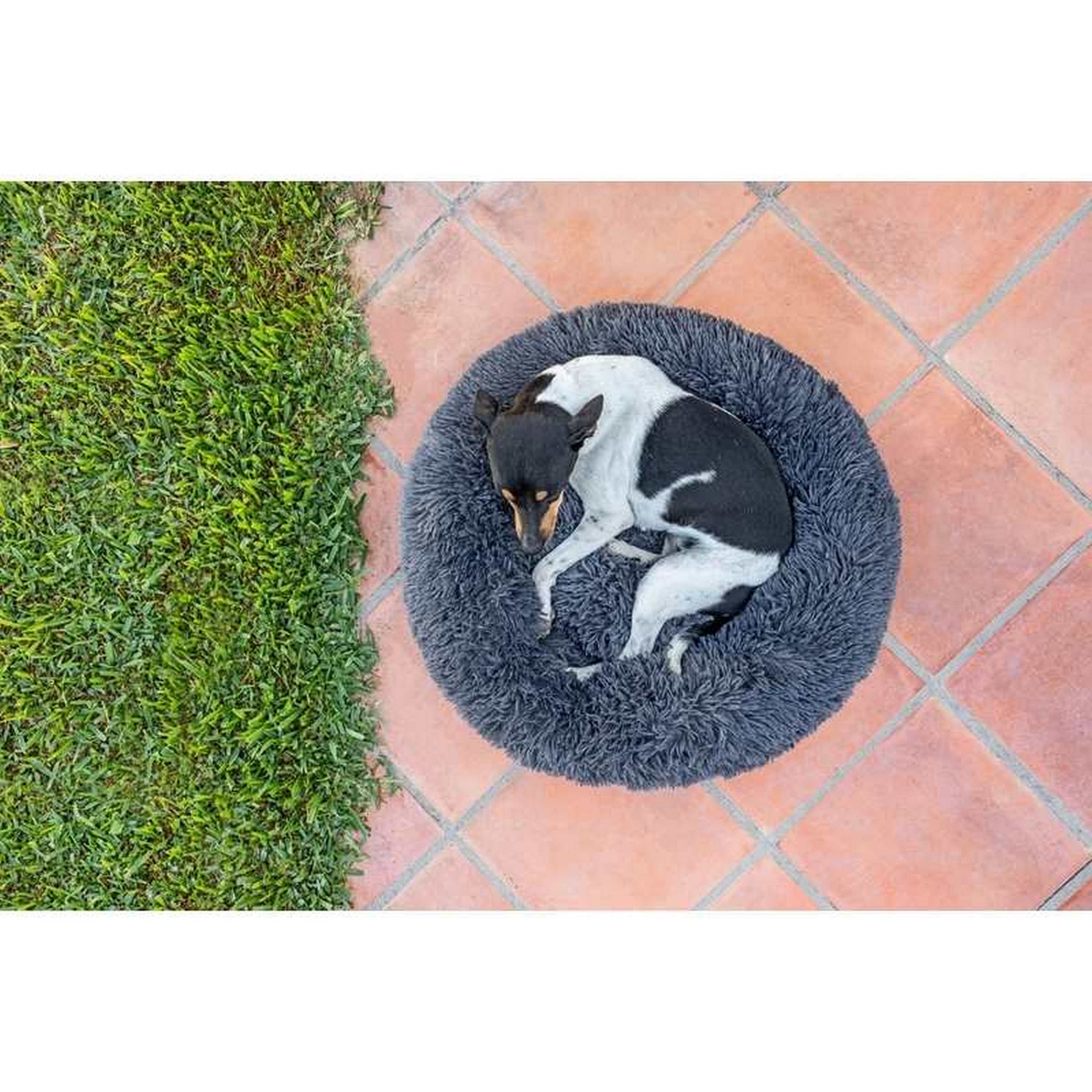 Cama para animais de estimação 60cmø pets club