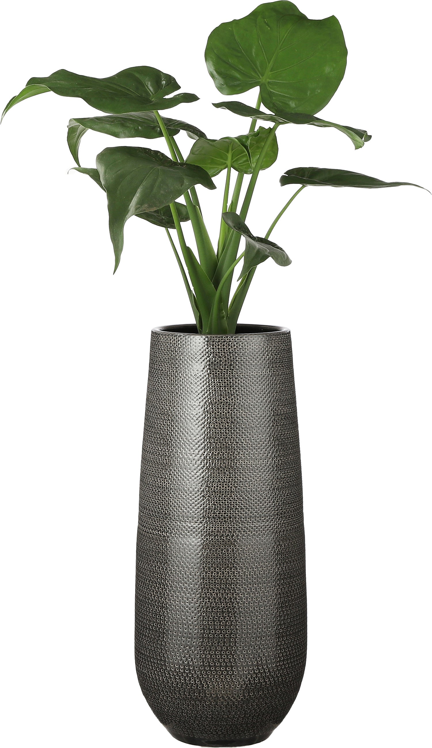 Mica Decorations vaas Gabriel grijs D 24 H 60 cm