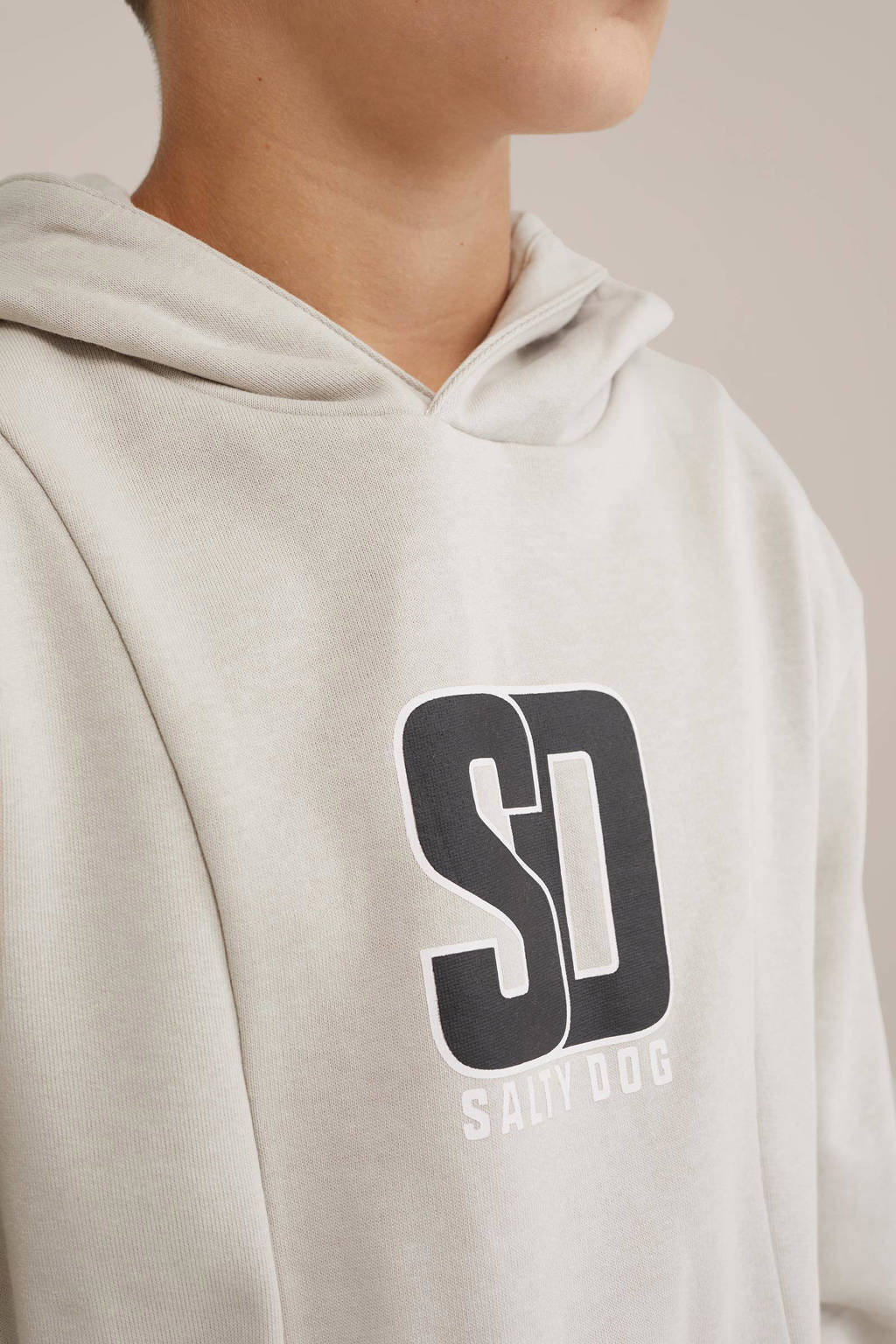 Salty Dog hoodie lichtgrijs