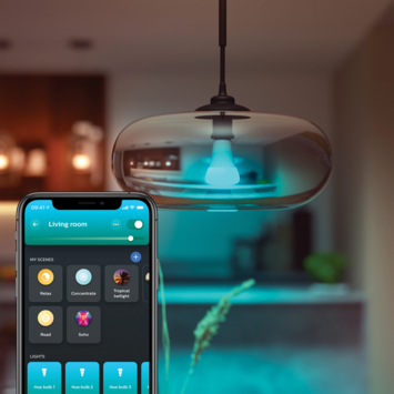 Philips Hue peer E27 1600 lumen White ambiance