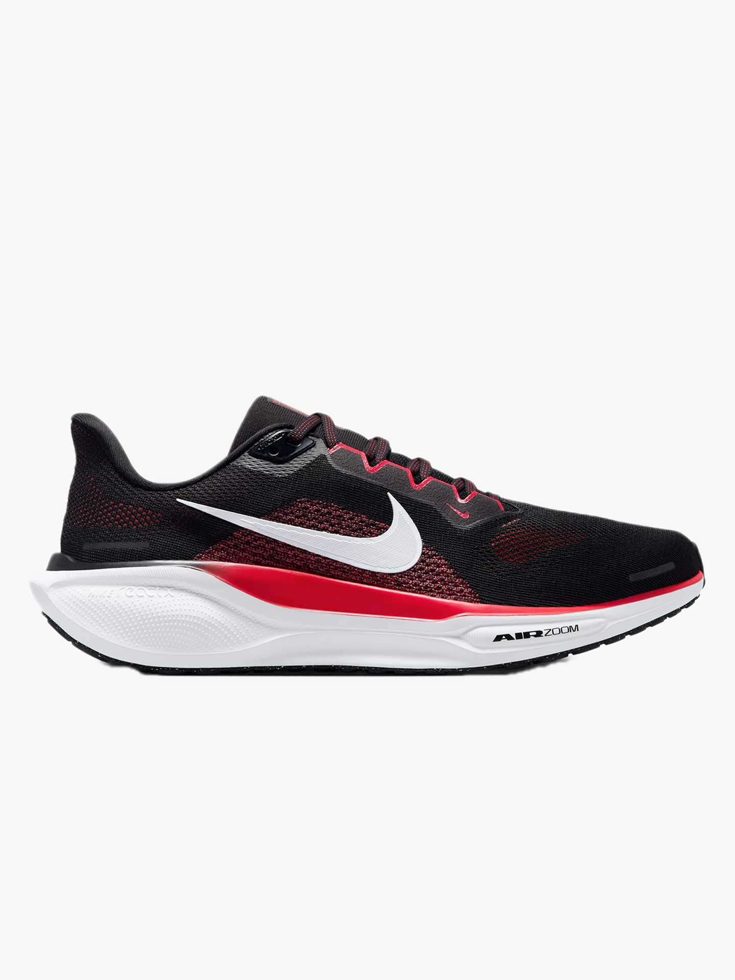 Pegasus 41