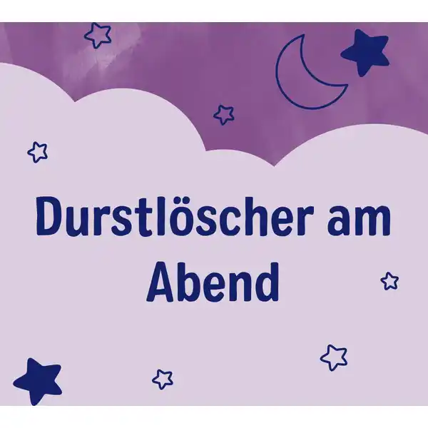 Bio Guten Abend Tee