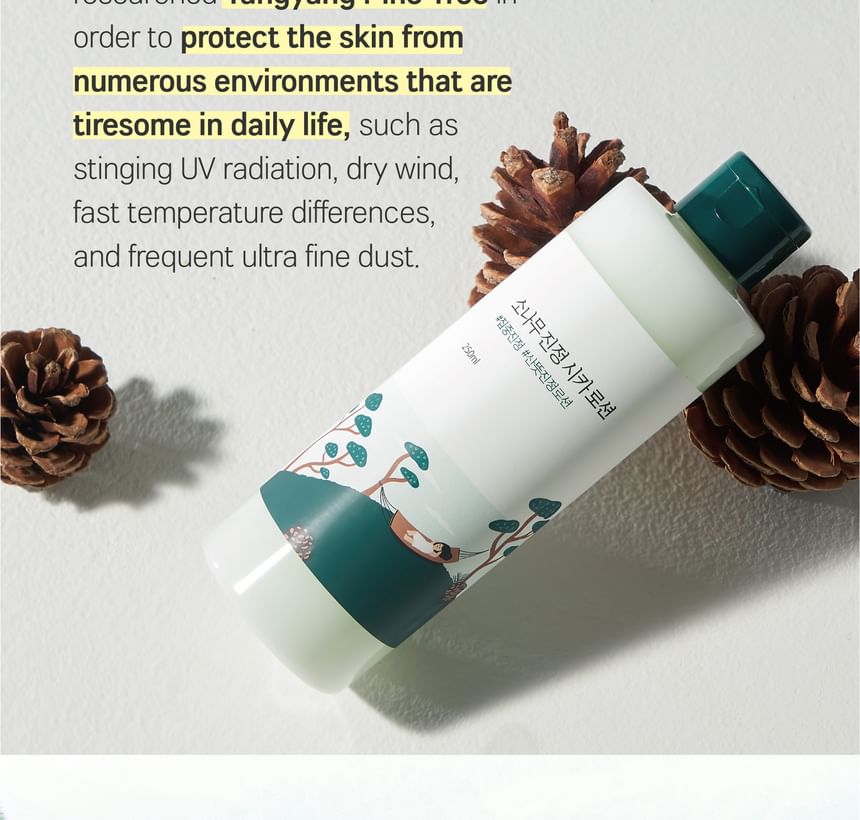 ROUND LAB - Kalmerende Cica Lotion met pijnboompitten