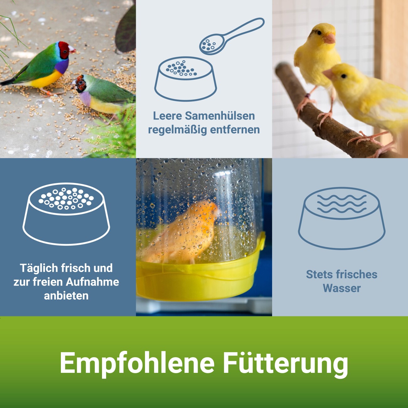 Panto KANARIENFUTTER SPEZIAL MIT PLURAMIN (OHNE RÜBSEN) 25kg