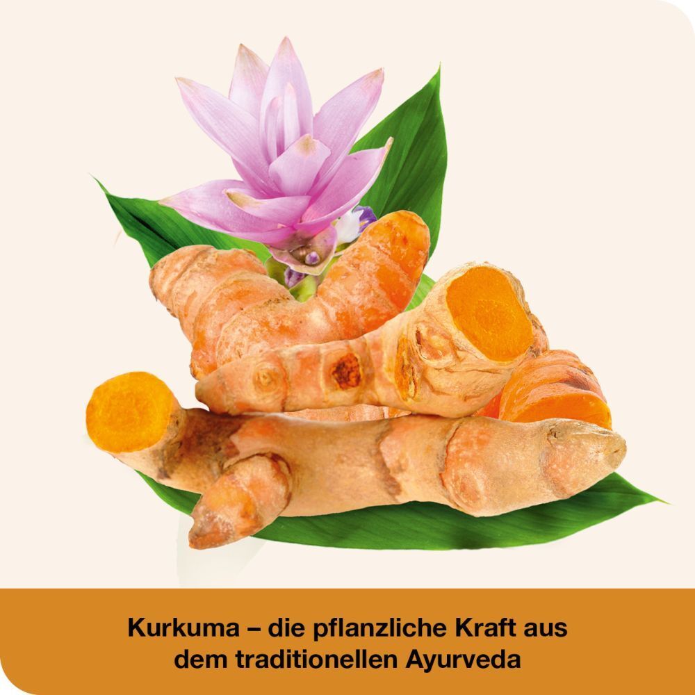 curcumin-Loges®