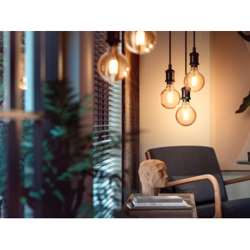 Philips Hue filament globelamp G125 - warmwit licht 7W - 1 pack - E27