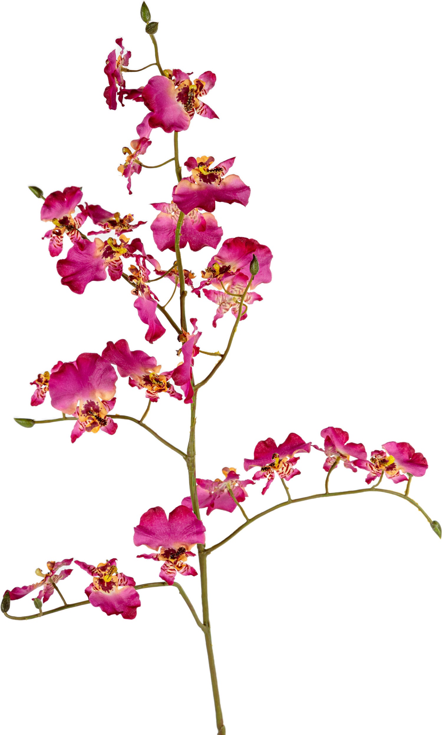 Louis Maes kunstbloem Tijgerorchidee roze L 90 cm