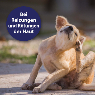 Canosept Hautpflegespray für Hunde 250ml