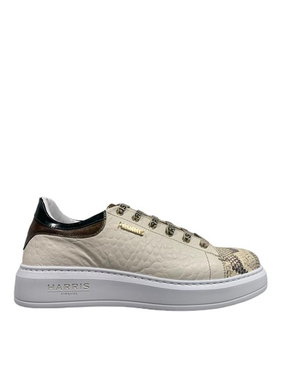 Harris Paul/25 Pitone Roccia Opaco