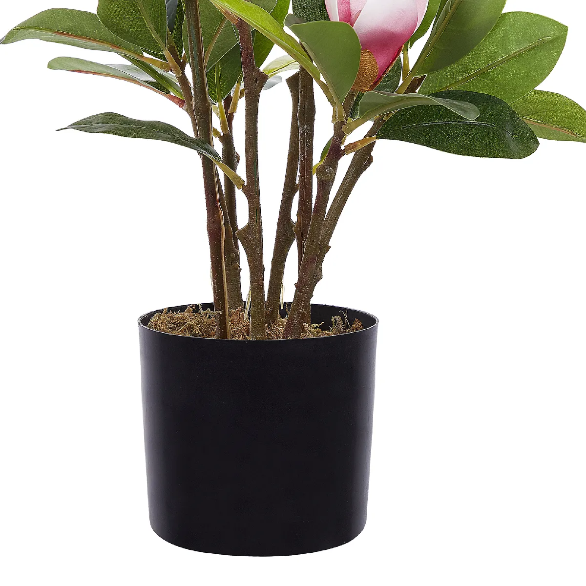BELIANI MAGNOLIA 70 cm Vert