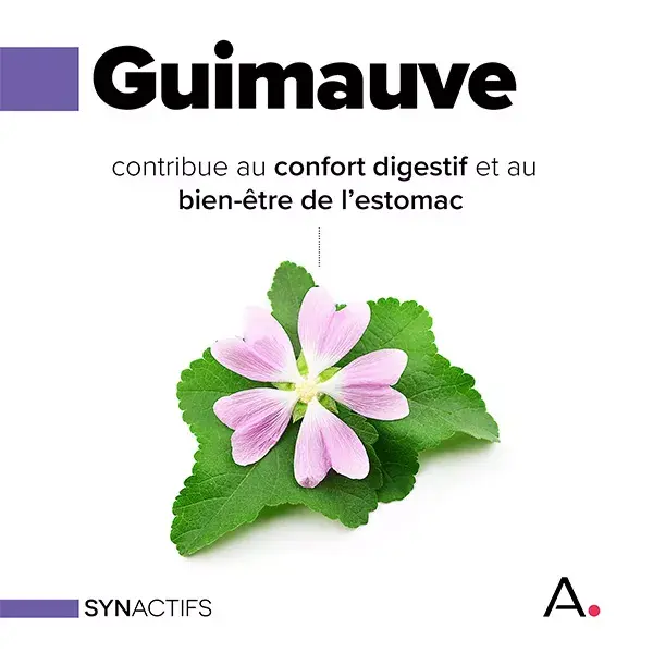 Aragan - Synactifs - StomaProtect® BIO - Conforto Digestivo - Marshmallow - 14 comprimidos