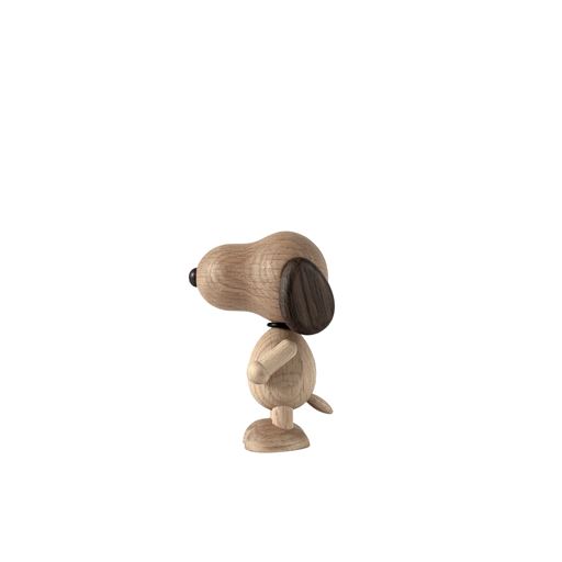 Boyhood Snoopy