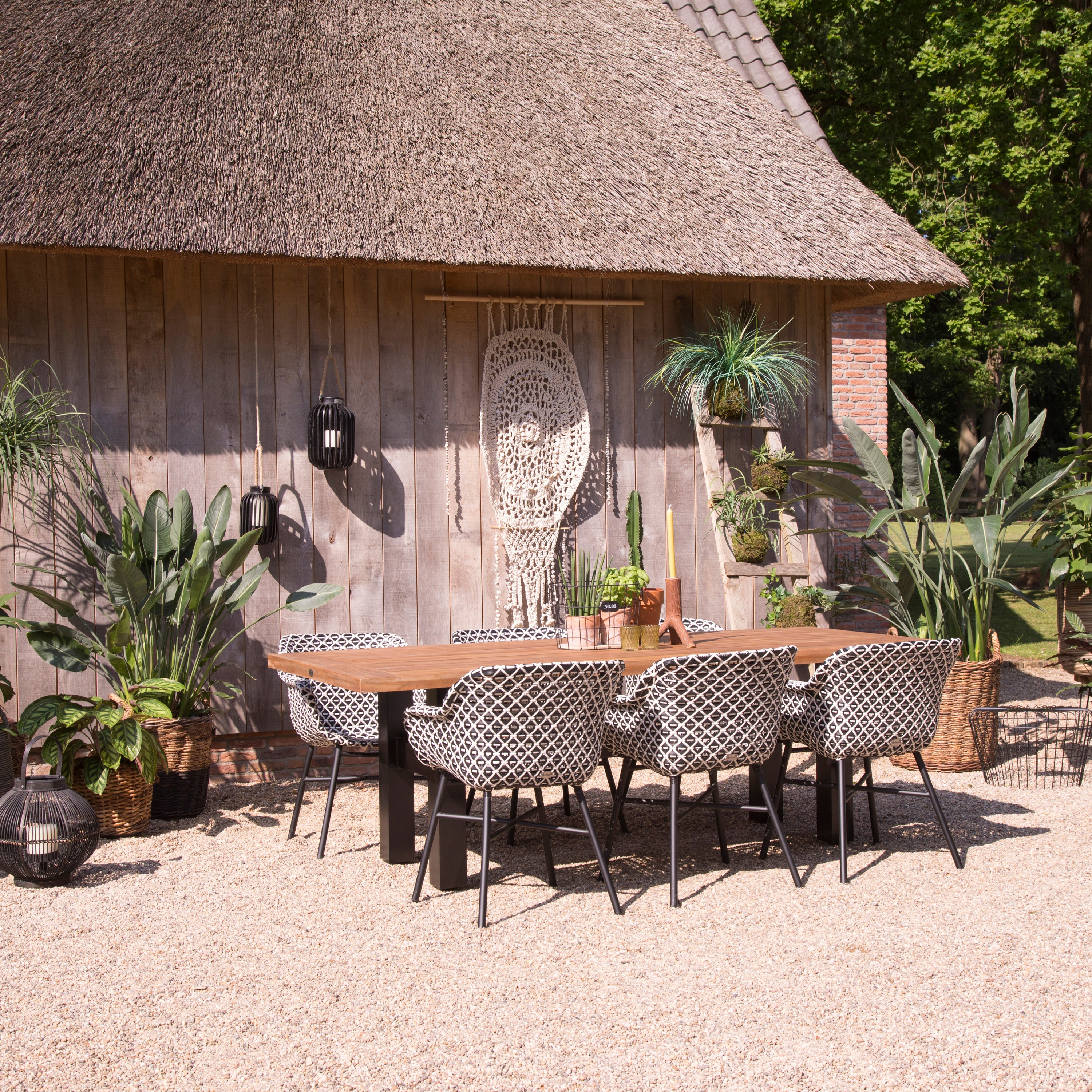 Hartman Delphine Diningstoel - Zwart/wit