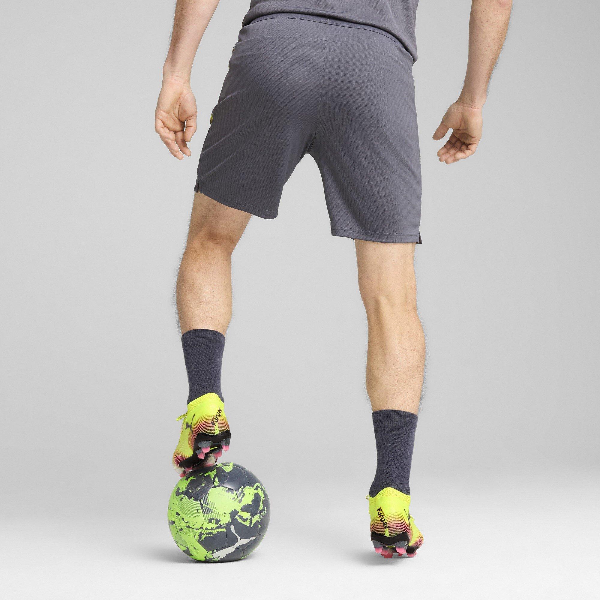 Puma IndividualCUP Football Shorts Adults