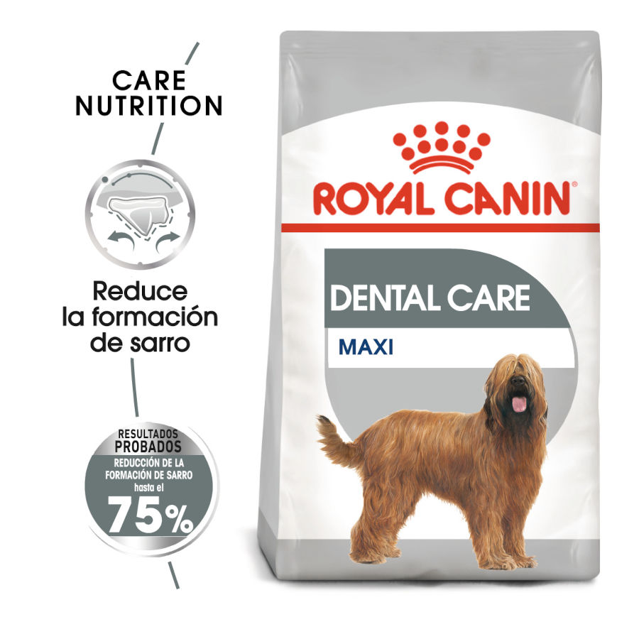 Ração Royal Canin Dental Care Maxi para cães