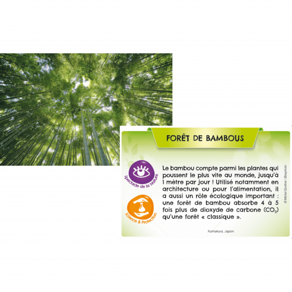 Bioviva Planète : Jungles et Forêts
