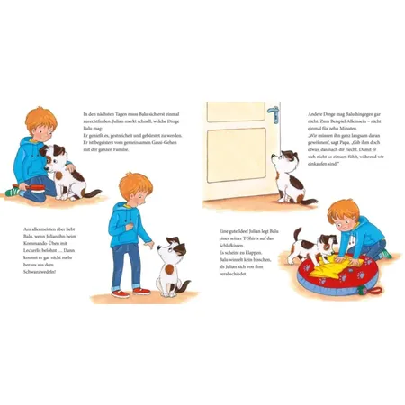 Carlsen Verlag LESEMAUS 176: Der kleine Hund - alles, was du wissen willst